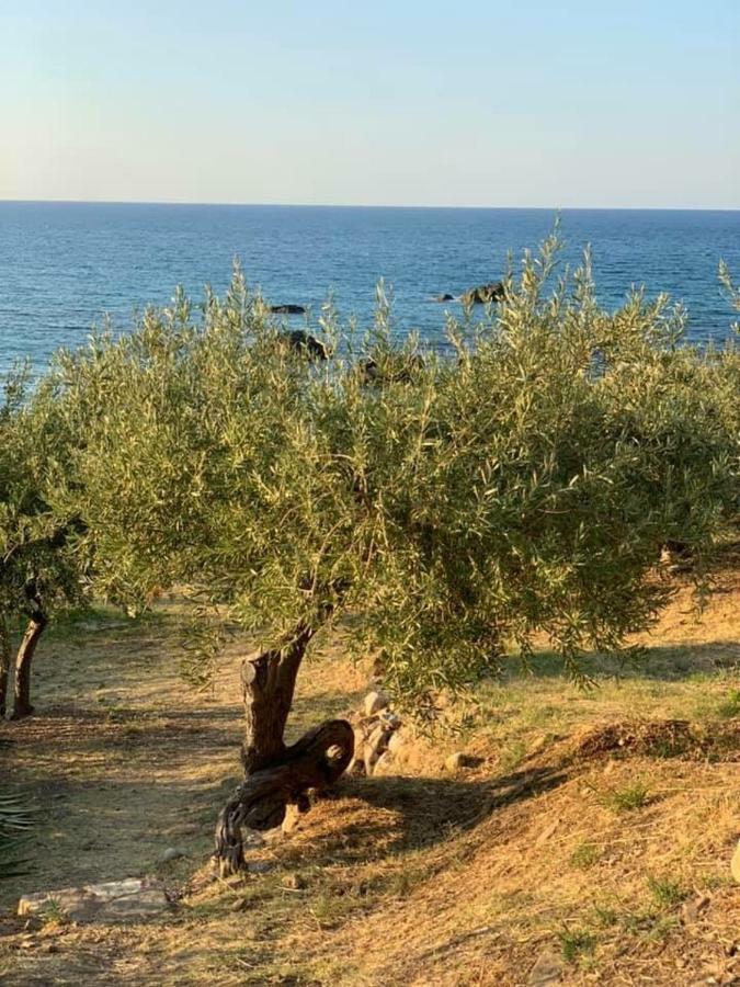 Ogliastro Sul Mare - Sleep And Dream Villa Cefalu Exterior photo